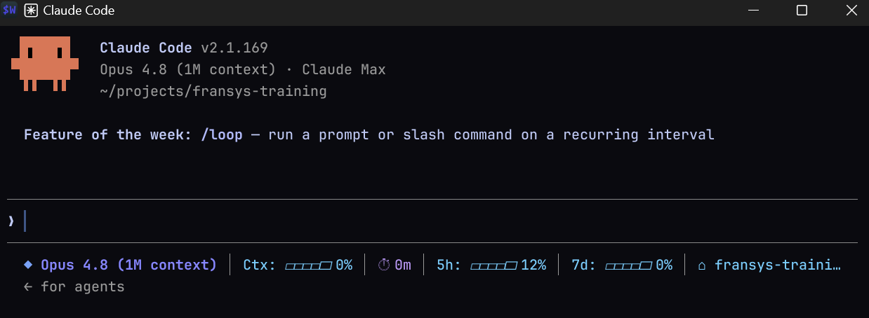 Écran d'accueil de Claude Code dans un terminal : version, modèle, dossier de travail, invite et status line