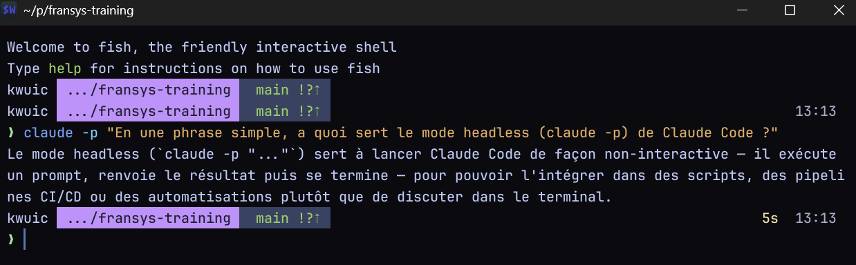 Mode headless : claude -p lancé dans un shell, qui exécute un prompt puis rend la main